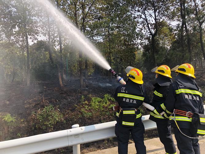南昌 高速路旁绿化带起火 消防紧急救援